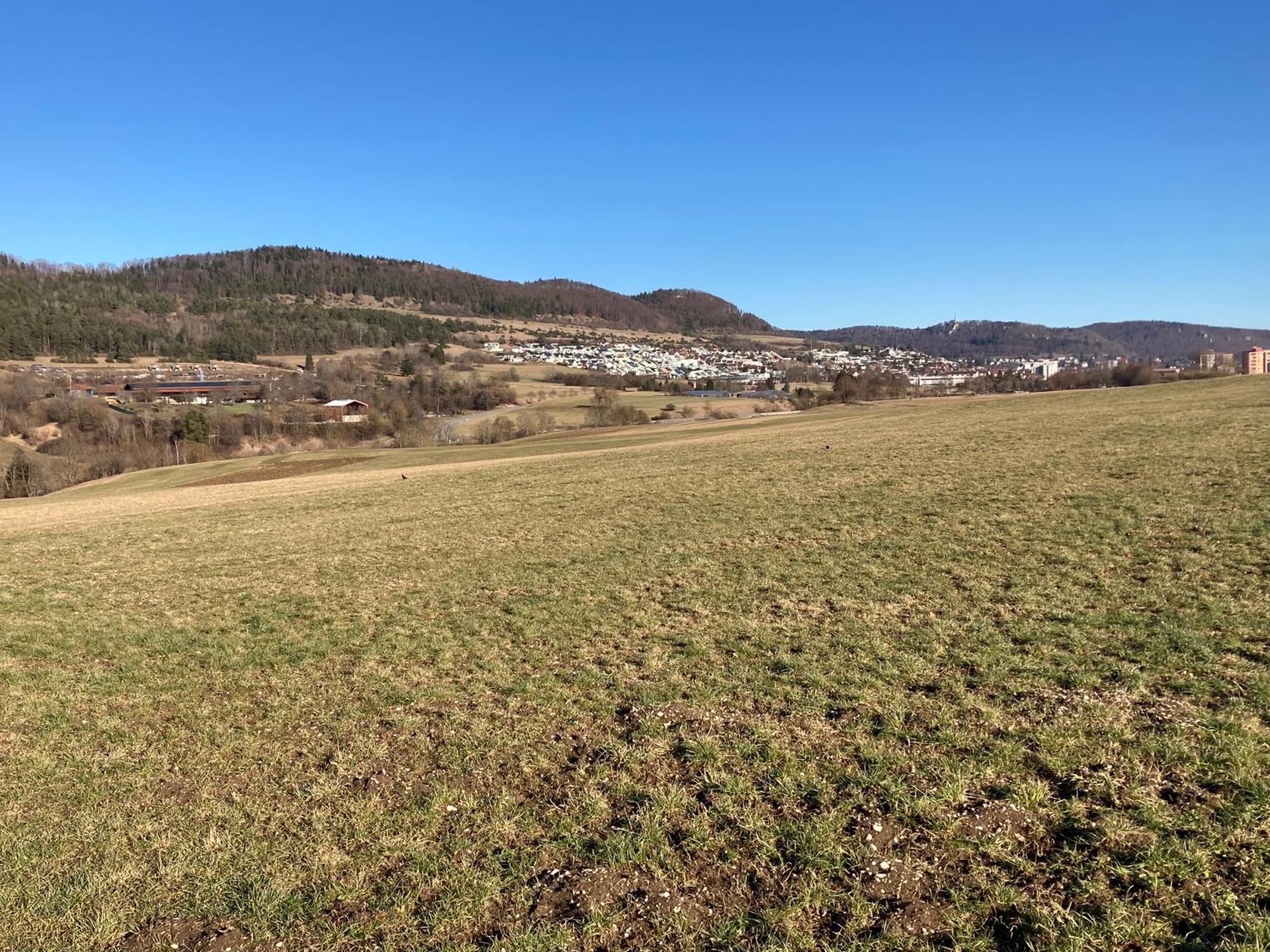 Atemberaubender Ausblick Mit Premium-Wanderwegen Vor Der Haustuer Apartamento Albstadt Exterior foto