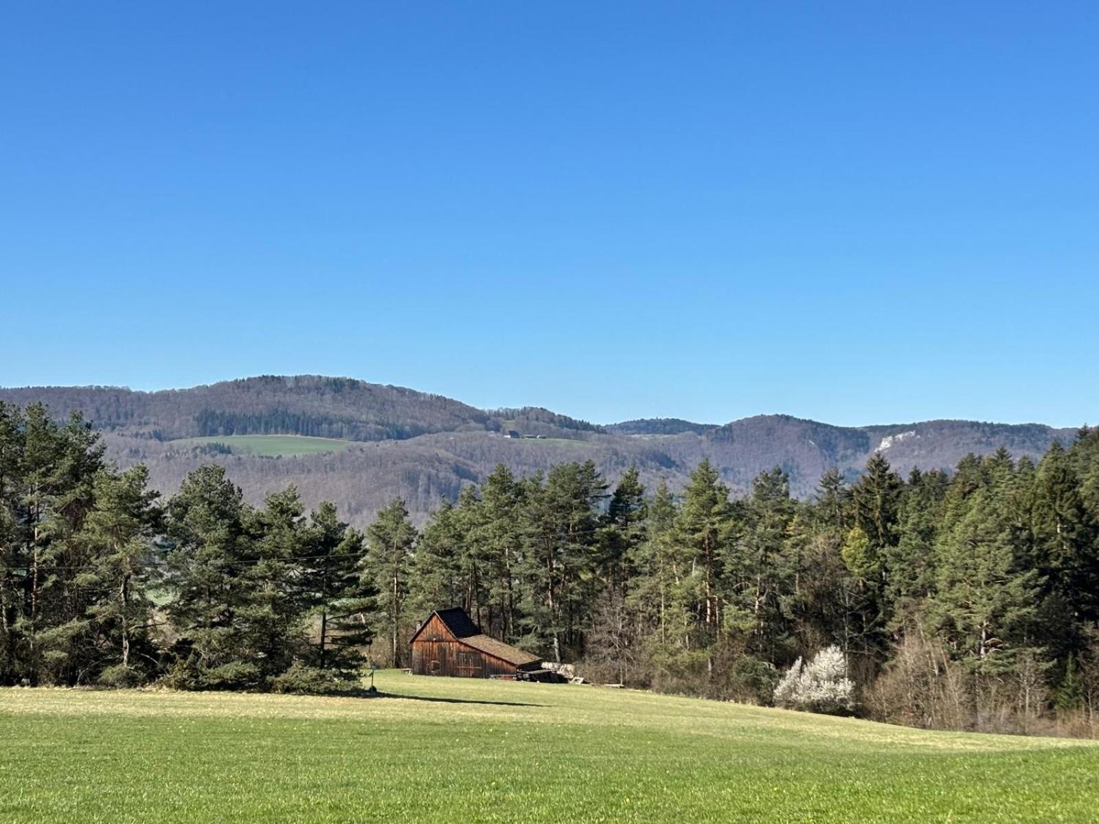 Atemberaubender Ausblick Mit Premium-Wanderwegen Vor Der Haustuer Apartamento Albstadt Exterior foto